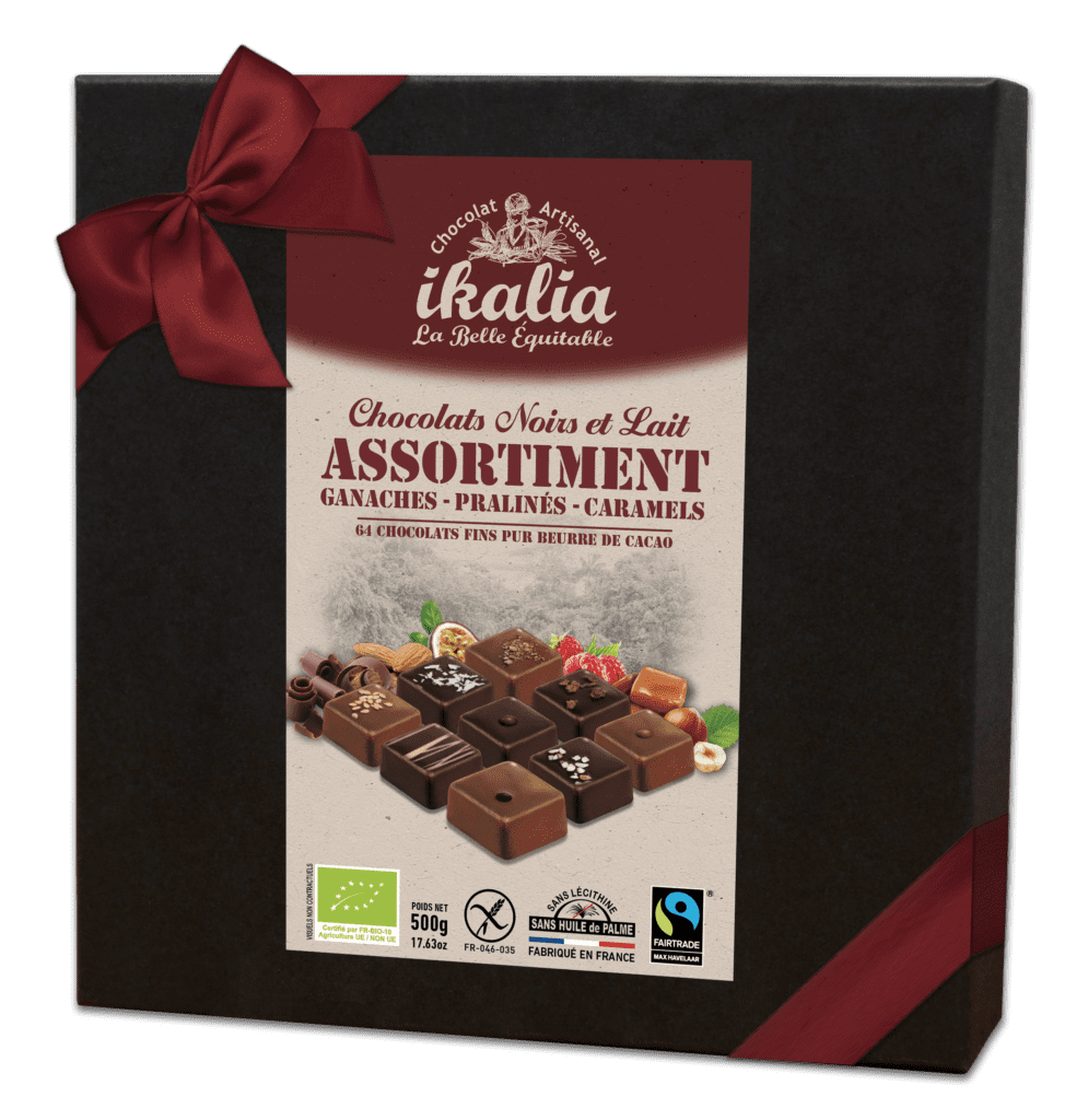 Assortiment de mini chocolats au lait et noirs